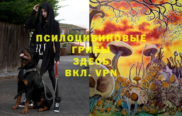 мескалин Навашино