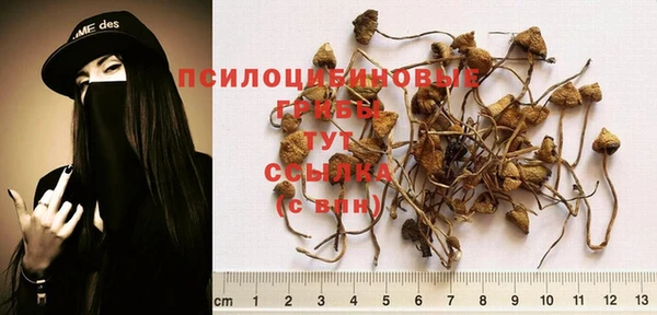 мескалин Навашино