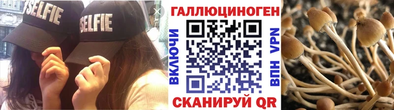 ОМГ ОМГ вход  Сарапул  Галлюциногенные грибы MAGIC MUSHROOMS 